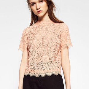 Zara Pink Lace Top